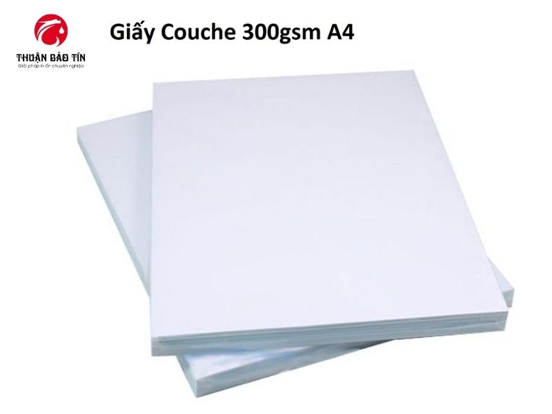 Giấy in Couche mờ 300gsm A4 định lượng 300gsm mang lại độ cứng cáp và cảm giác cao cấp khi sử dụng.