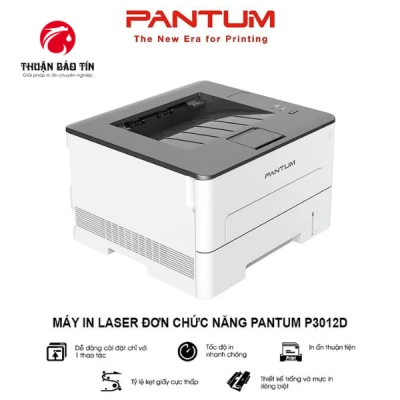 Máy In Pantum P3012D