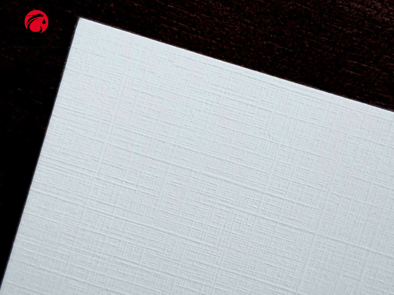 In hồ sơ năng lực chuyên nghiệp với giấy gân A4 260gsm có độ cứng và độ trắng tiêu chuẩn.